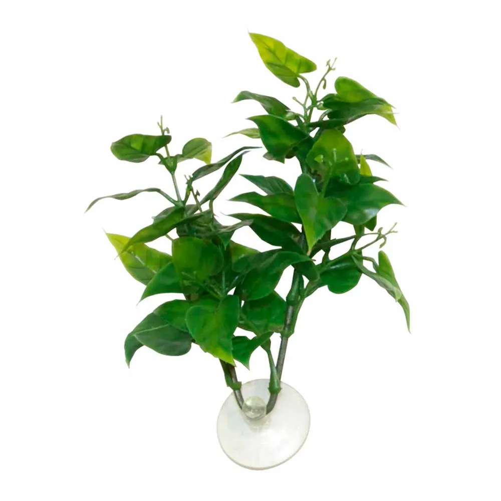 Zoo Med Betta Plantphilo