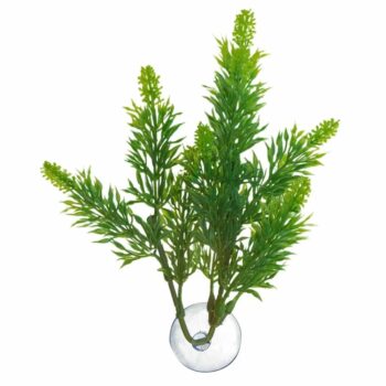 Zoo Med Betta Plant salvia