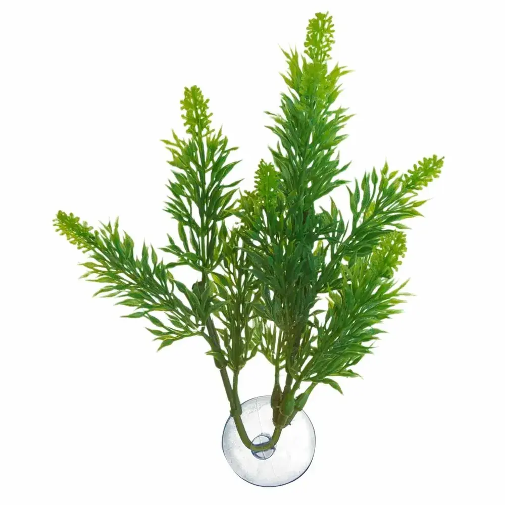 Zoo Med Betta Plant salvia