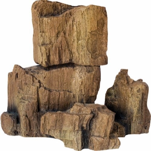Fossil Rock