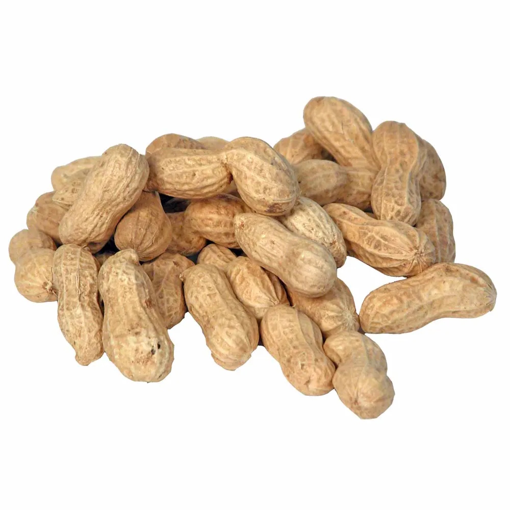 Bello Peanøtter med skall 200g