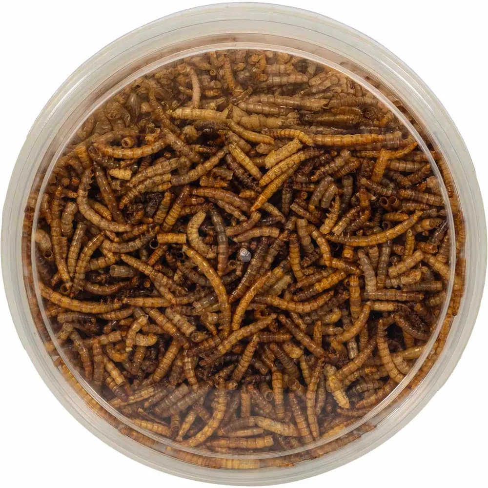 Bello tørket melorm