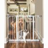 Carlson grind ekstra bred walk-thru m. kattedør, justerbar 76x74-112cm Carlson grind ekstra bred walk-thru m. kattedør, justerbar 76x74-112cm