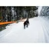 Non-Stop Dogwear Bungee Leash Non-Stop Dogwear Bungee Leash