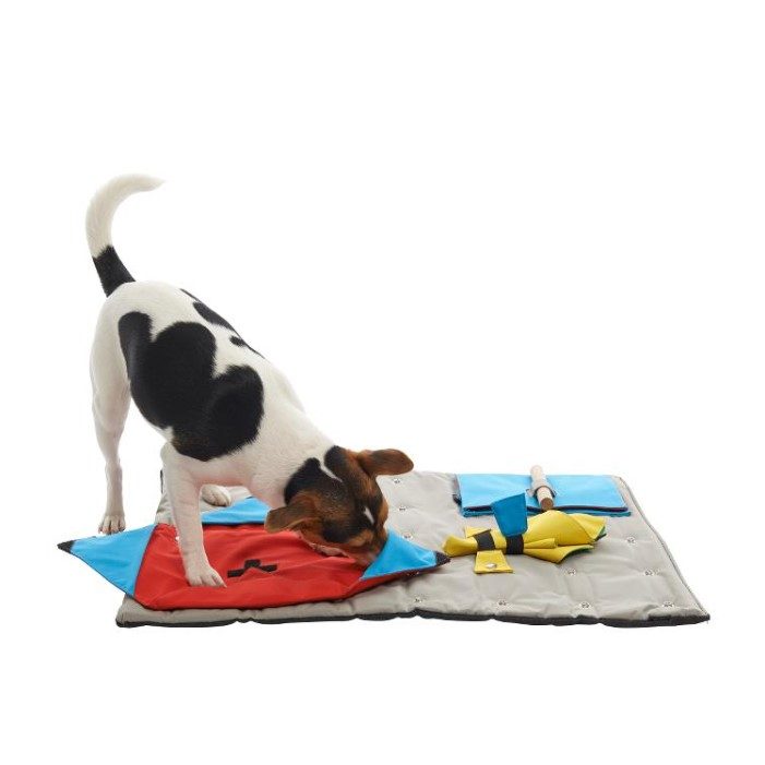 Buster ActivityMat Startersett Aktivitetsmatte Hjernetrim Hund