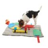 Buster ActivityMat Startersett Aktivitetsmatte Hjernetrim Hund