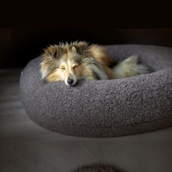 Canelana rund hundeseng i 100% ull