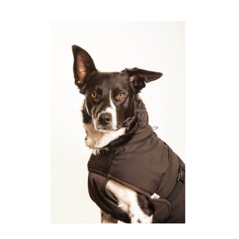 Canelana Ulldekken Thermo Vinterdekken Sort