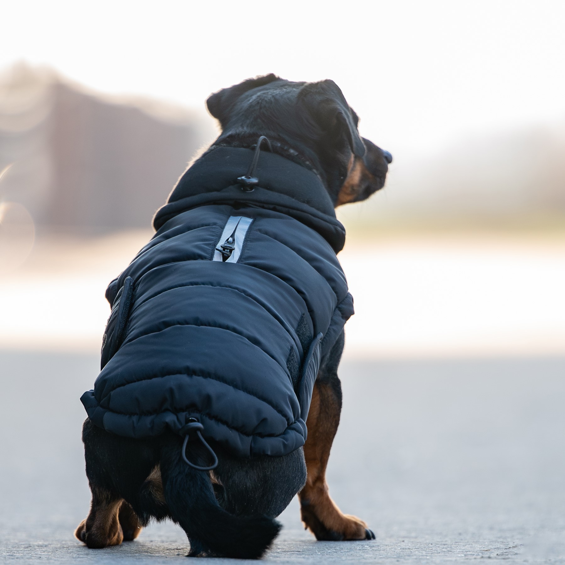 CATAGO FIR-Tech puffer hundedekken CATAGO FIR-Tech puffer hundedekken