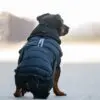 CATAGO FIR-Tech puffer hundedekken CATAGO FIR-Tech puffer hundedekken
