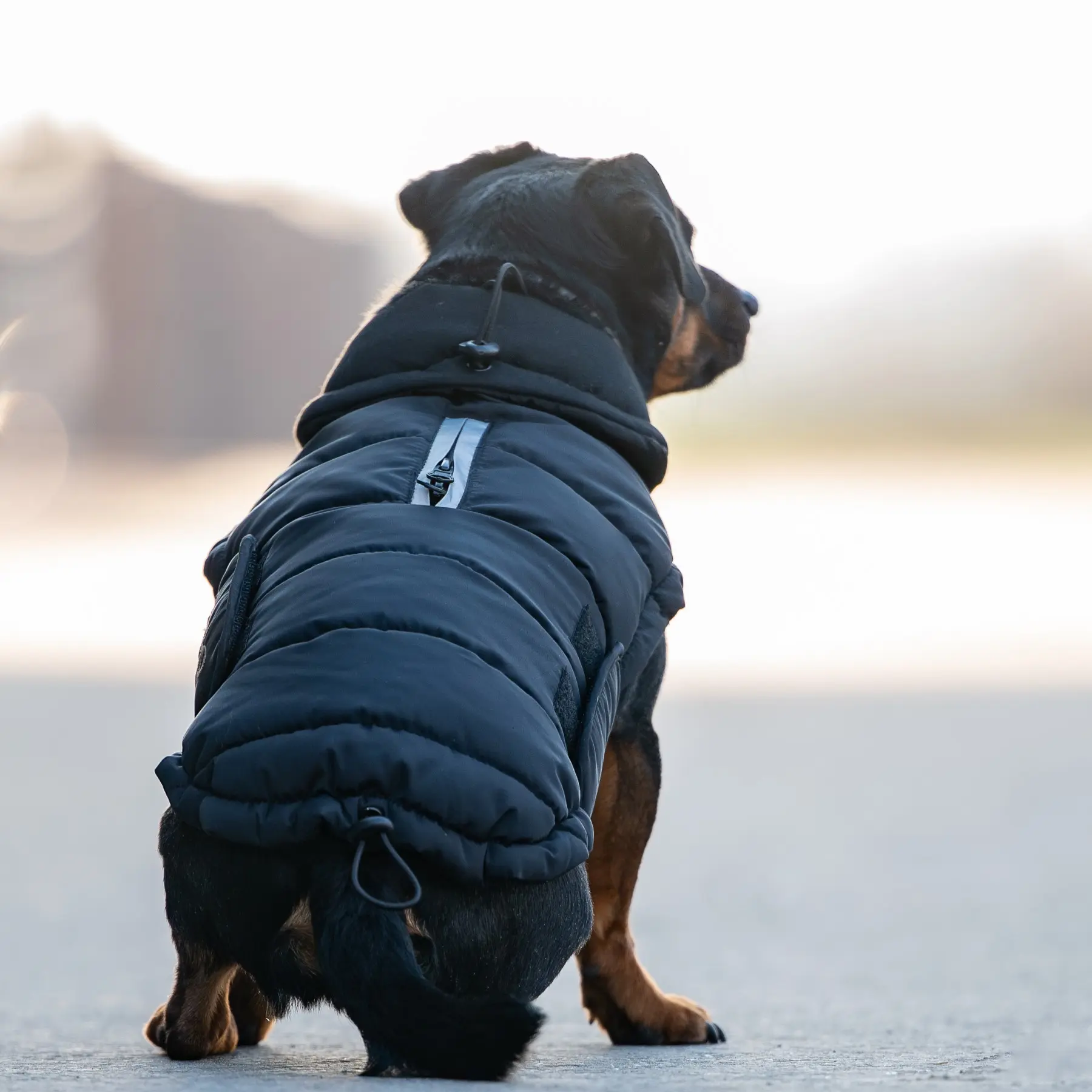 CATAGO FIR-Tech puffer hundedekken CATAGO FIR-Tech puffer hundedekken