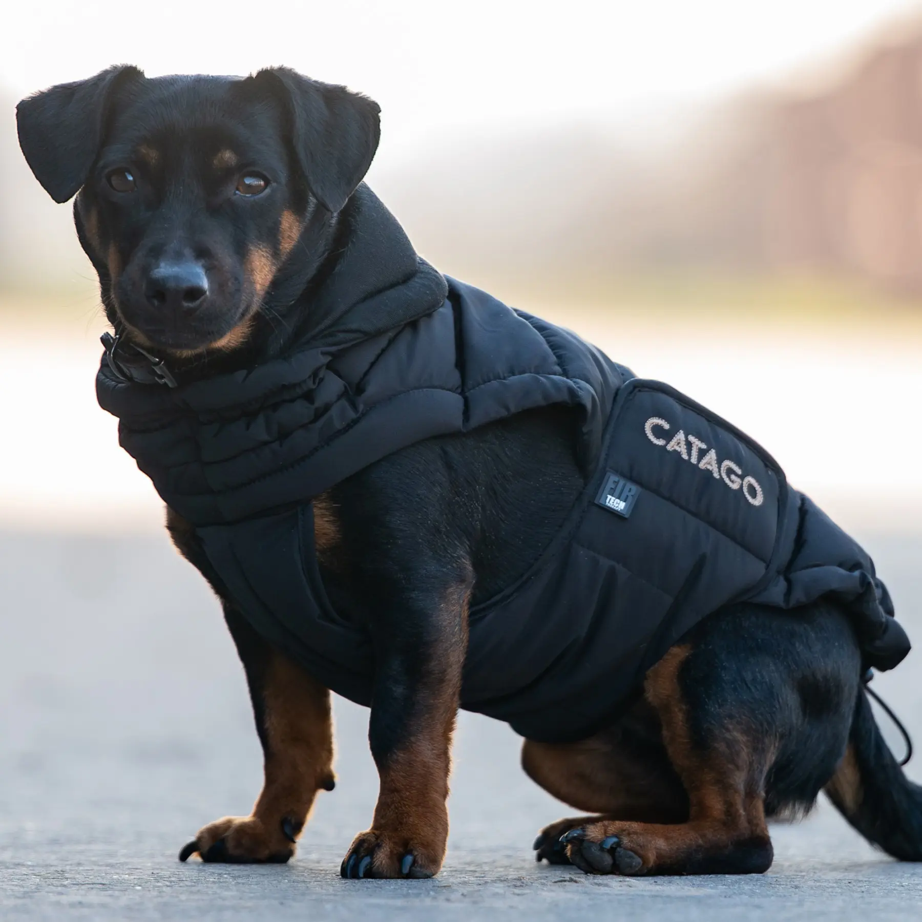 CATAGO FIR-Tech puffer hundedekken CATAGO FIR-Tech puffer hundedekken
