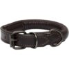 CATAGO Rundsydd Hundehalsbånd i Lær CATAGO Rundsydd Hundehalsbånd i Lær