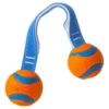 Chuckit! drakamp baller med stropp Chuckit! drakamp baller med stropp