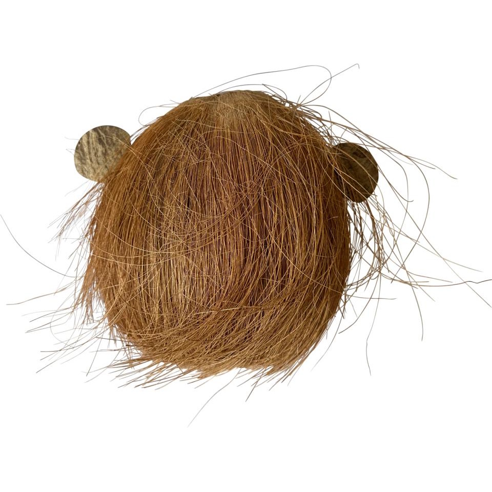 Coco Monkey 1 med åpen munn