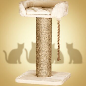 Companion Cat Lion klorestativ 60x60x100 cm