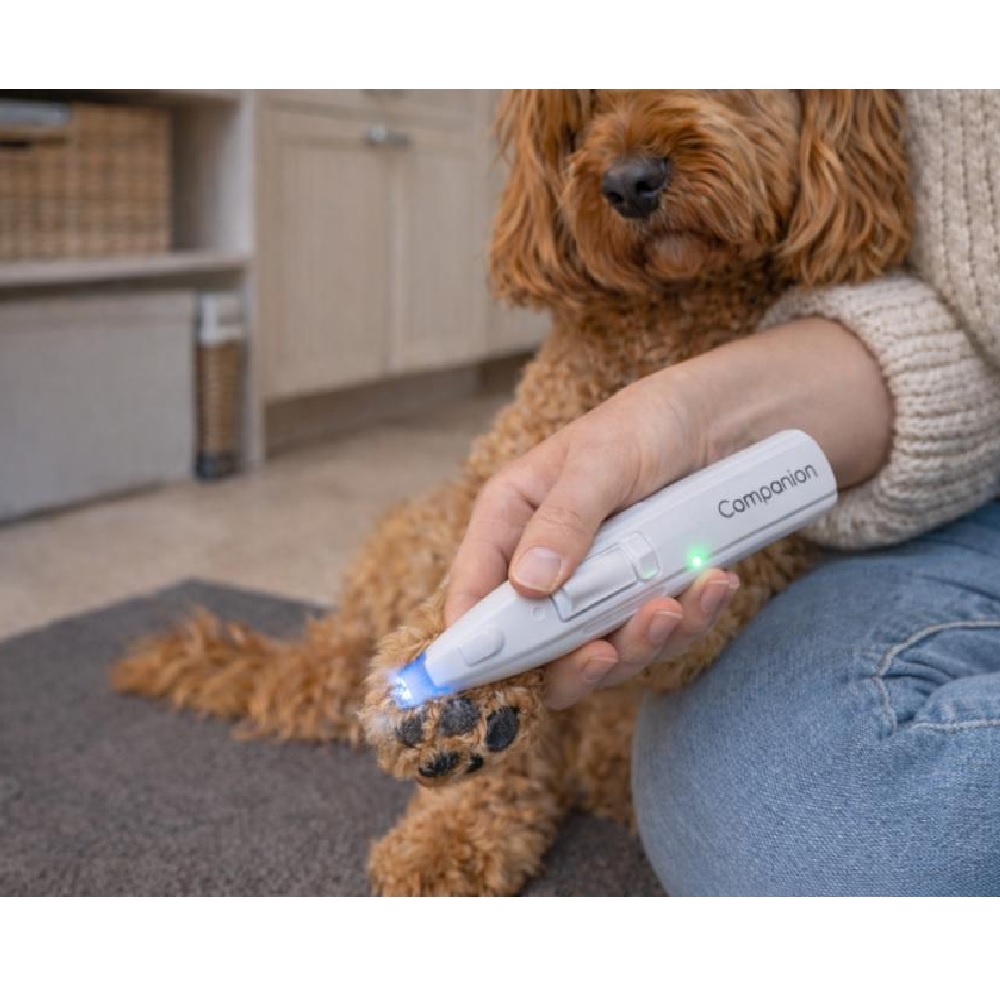Companion potetrimmer med lys Companion potetrimmer med lys