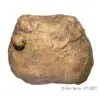 Exo Terra Feeding Rock 12.5x9x9.5cm Exo Terra Feeding Rock 12.5x9x9.5cm