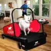 DogPACER MINI tredemølle DogPACER MINI tredemølle
