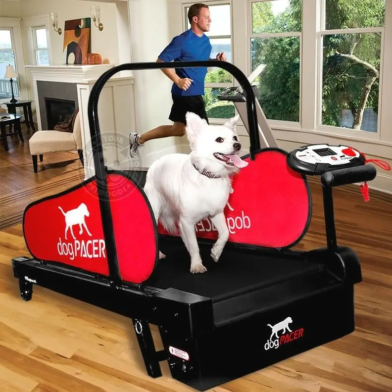 DogPACER MINI tredemølle