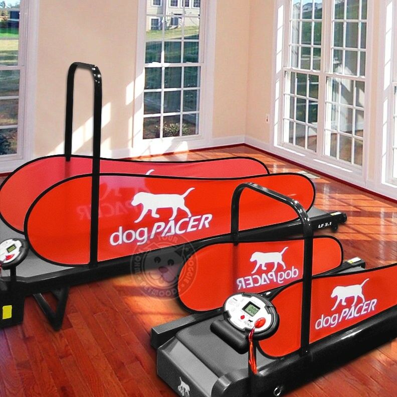 DogPACER MINI tredemølle