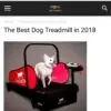 DogPACER MINI tredemølle DogPACER MINI tredemølle