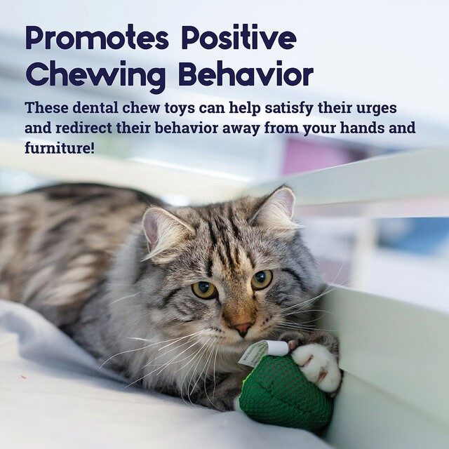 Petstages Lil-Avocato Dental Health Cat Chew leke