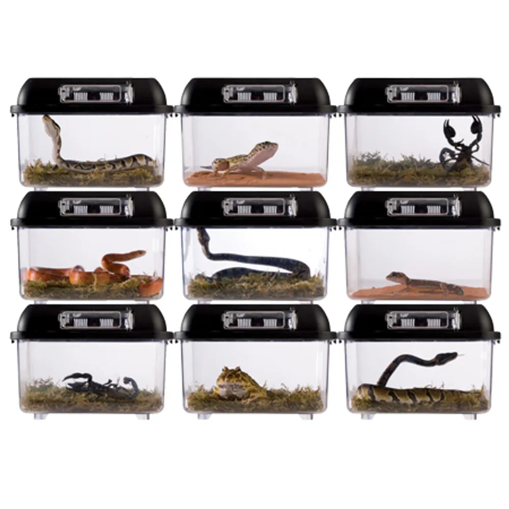 Plast terrarie breeding box