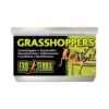 Exo Terra Hermetiserte Gresshopper 34g