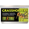 Exo Terra Hermetiserte Gresshopper 34g