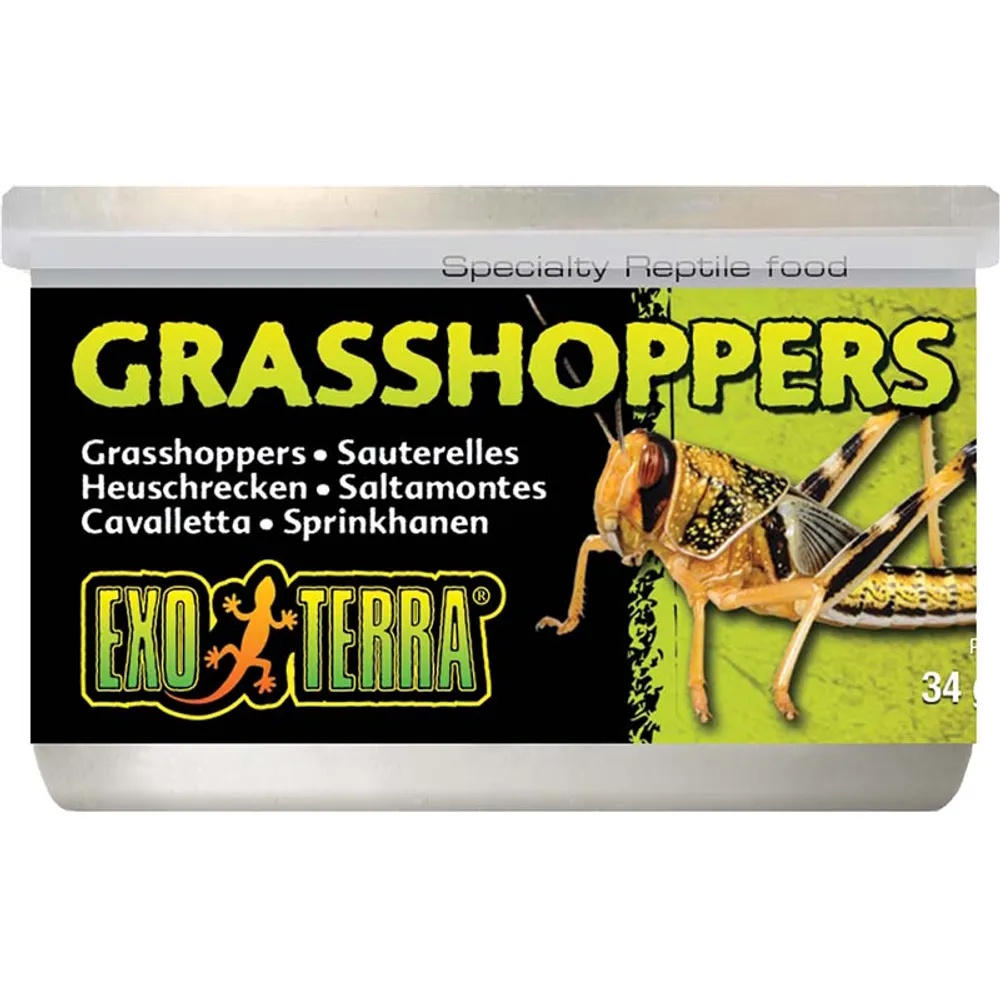 Exo Terra Hermetiserte Gresshopper 34g