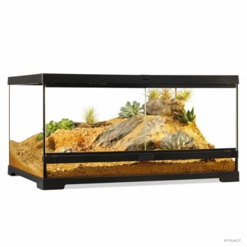 Terrarium Exo terra Medium Low 60x45x30cm