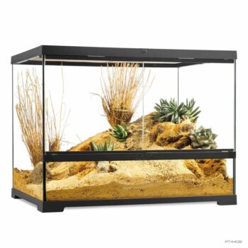 Terrarium Exo Terra Medium Wide 60x45x45cm