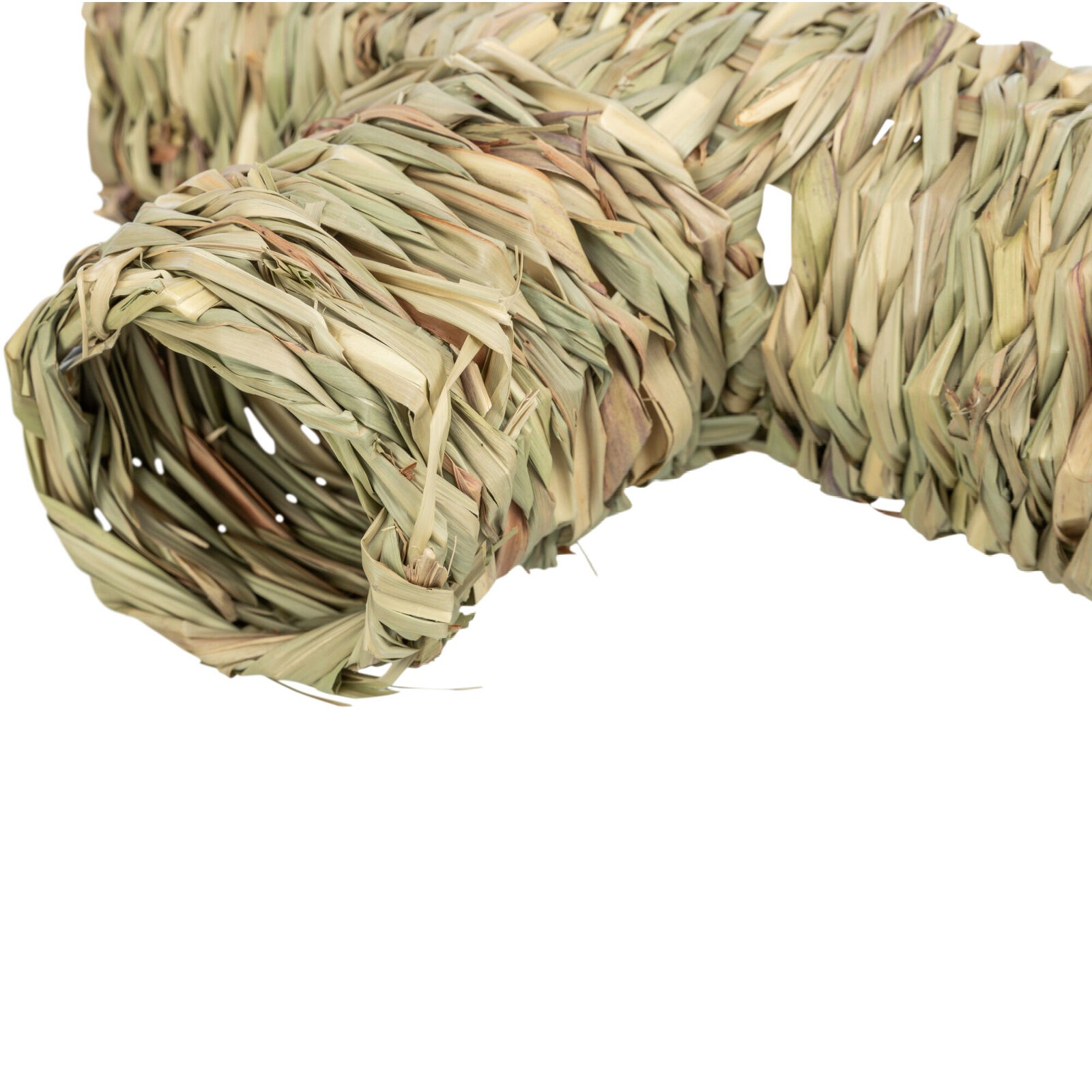 Gress Tunnel gnagerleke