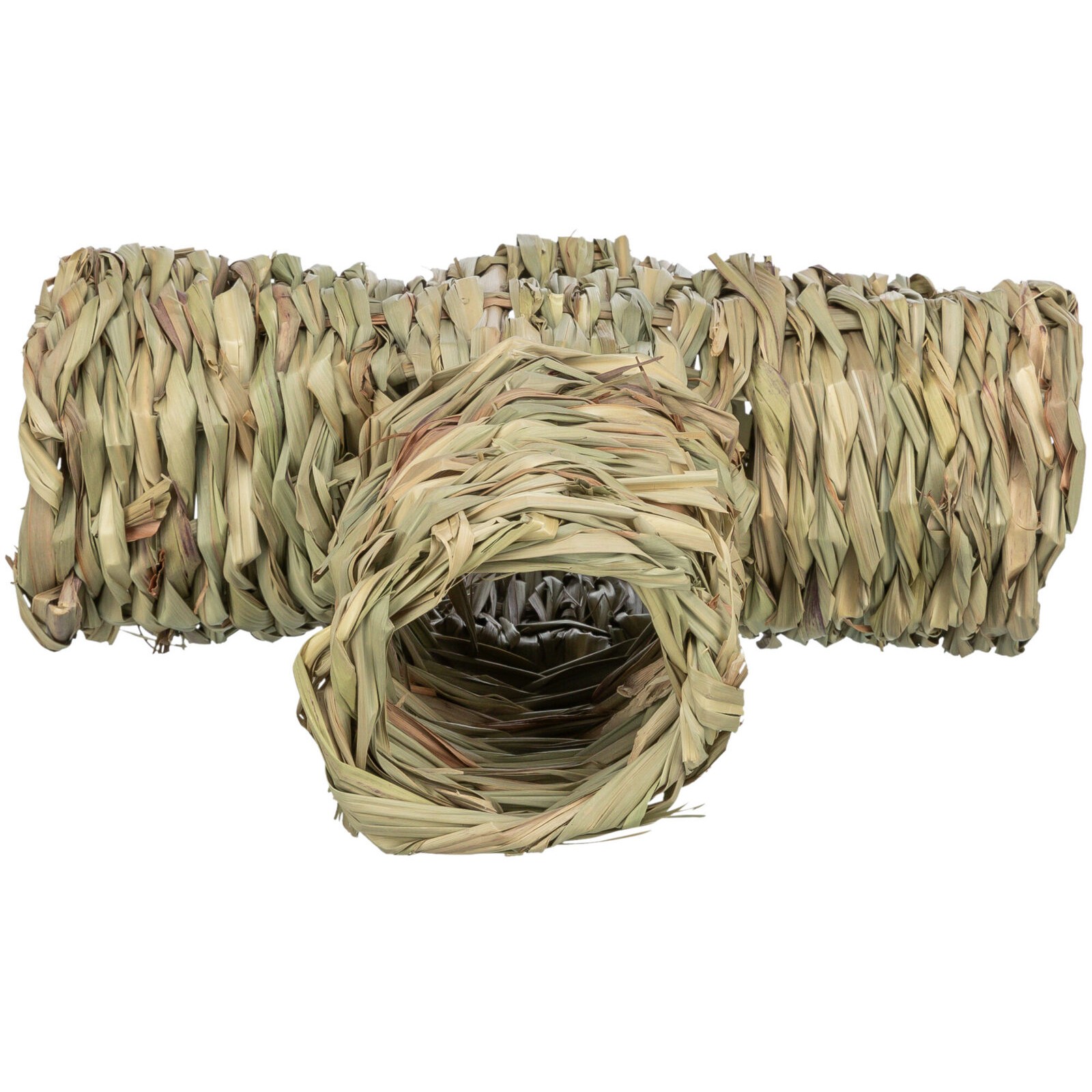 Gress Tunnel gnagerleke