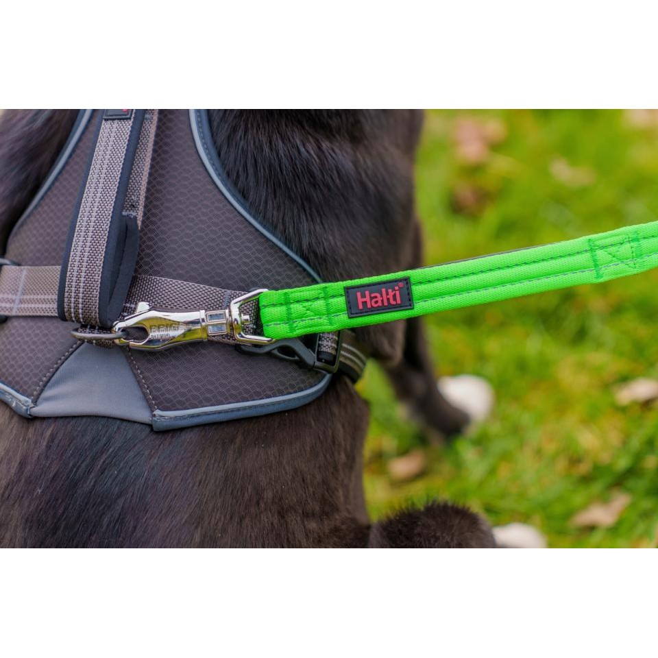 Halti BRIG Safty line