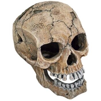 Hodeskalle 20cm