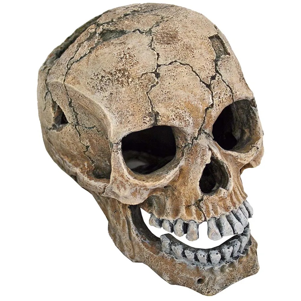 Hodeskalle 20cm
