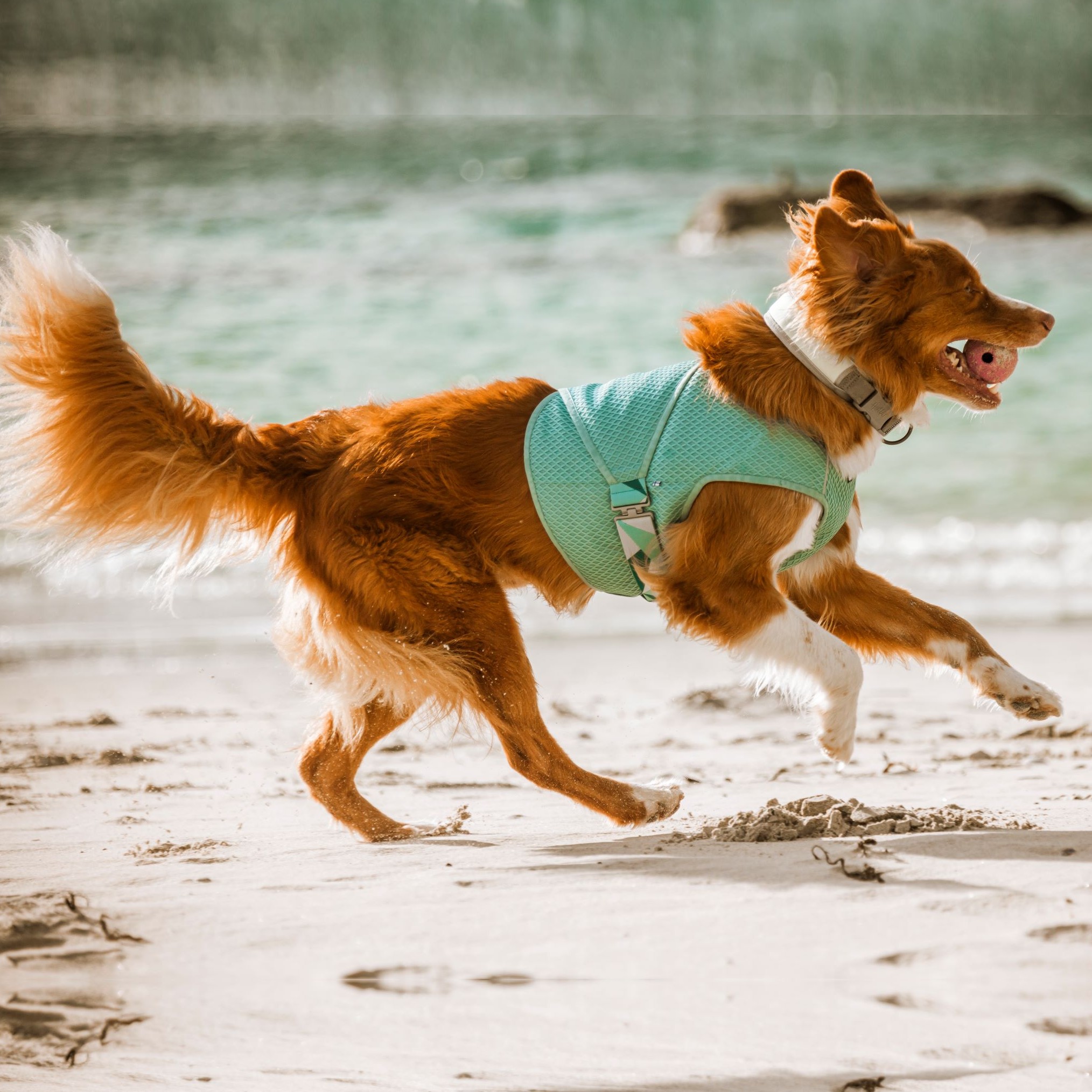 Hurtta Cooling Wrap - Kjølevest til hund