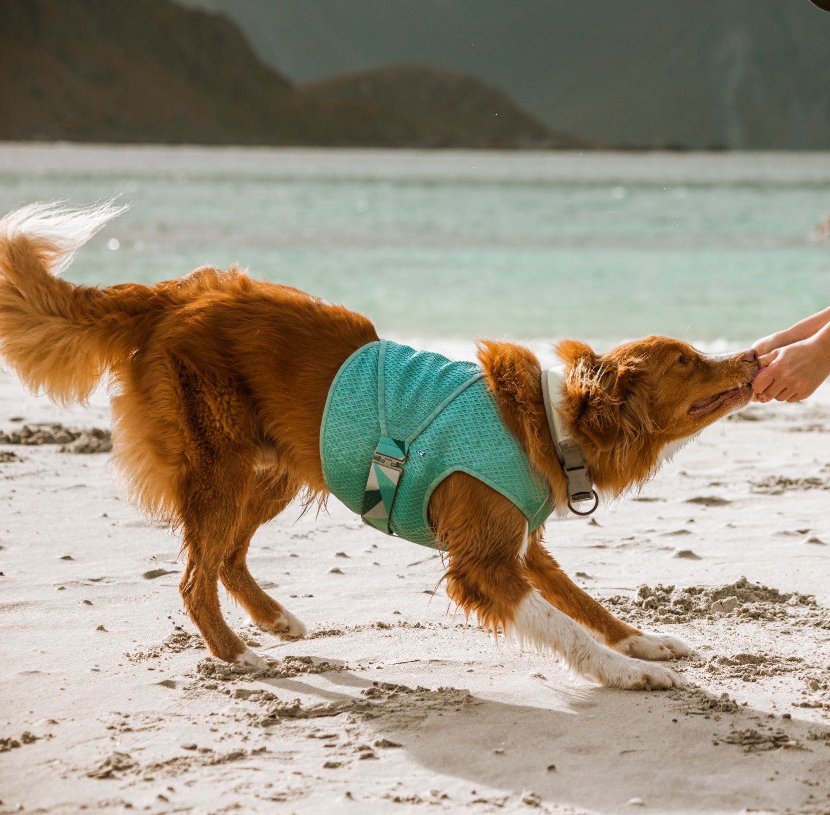 Hurtta Cooling Wrap - Kjølevest til hund