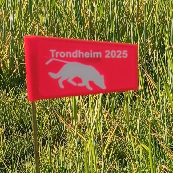 Eksklusivt sporflagg