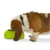 Buster IncrediBowl Matskål Vannskål Hund Buster IncrediBowl Matskål Vannskål Hund
