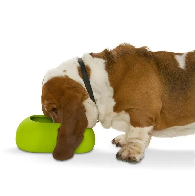 Buster IncrediBowl Matskål Vannskål Hund Buster IncrediBowl Matskål Vannskål Hund