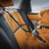 Ezydog Isofix sikkerhetsbelte bilbelte