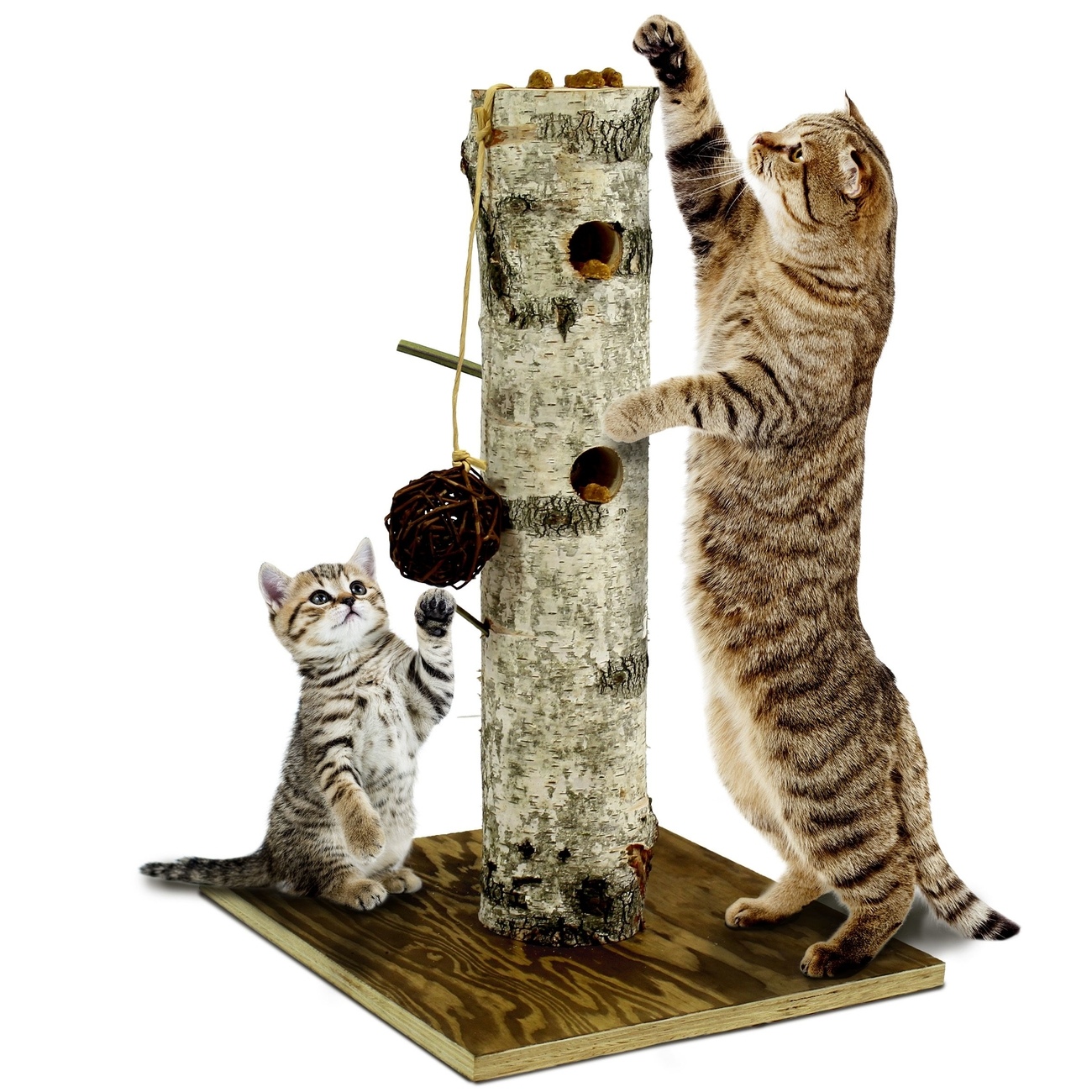 JR Farm back to Instinct kloremøbel 38x38x58cm JR Farm back to Instinct kloremøbel 38x38x58cm