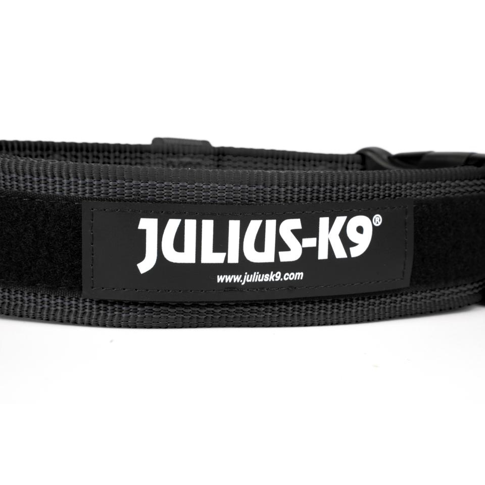 Julius-K9 C&G Halsbånd med Håndtak 38-53 cm- 40 mm