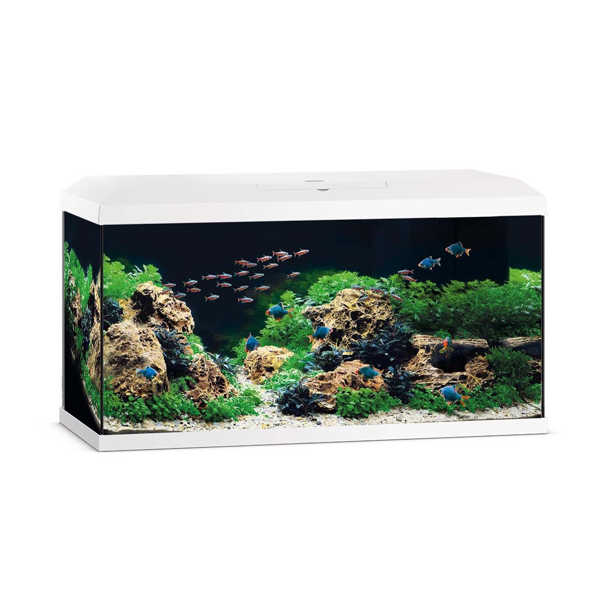 Juwel Akvarium Primo 110ltr 2.0 81x36x43,5 cm Juwel Akvarium Primo 110ltr 2.0 81x36x43,5 cm