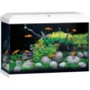 Juwel akvarium Primo 70ltr 2.0 61x31x44cm Juwel akvarium Primo 70ltr 2.0 61x31x44cm