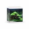 Juwel Vio Cube akvarium 54L - 41x36x47cm Juwel Vio Cube akvarium 54L - 41x36x47cm