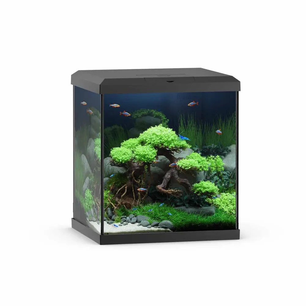Juwel Vio Cube akvarium 54L - 41x36x47cm Juwel Vio Cube akvarium 54L - 41x36x47cm